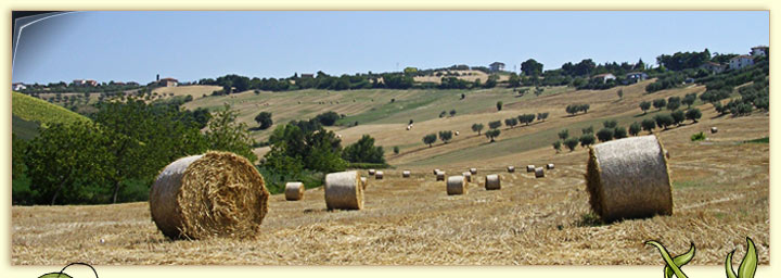 Agriturismo a Tortoreto