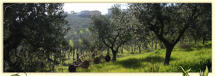 Agriturismo a Tortoreto