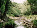 Parco nazionale d'Abruzzo