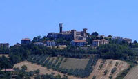 Montone